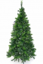 Weihnachtsbaum - Regina